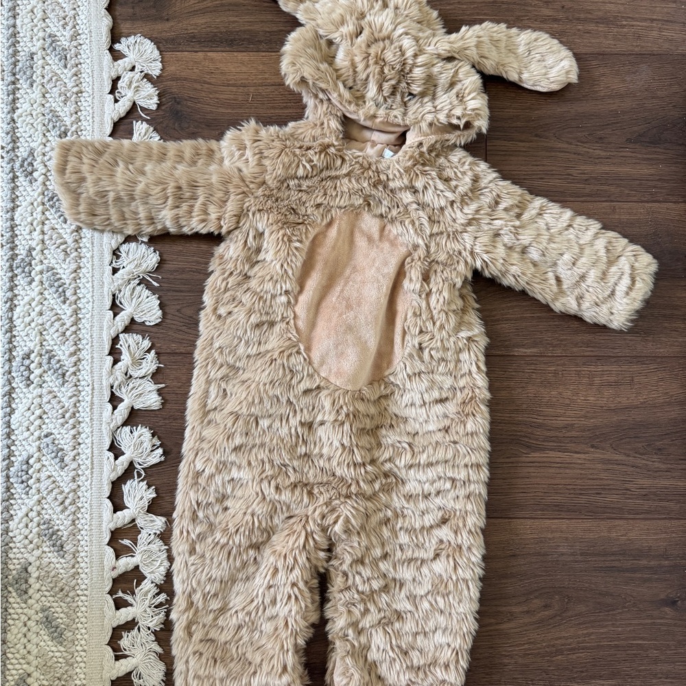 Pottery Barn halloween costume